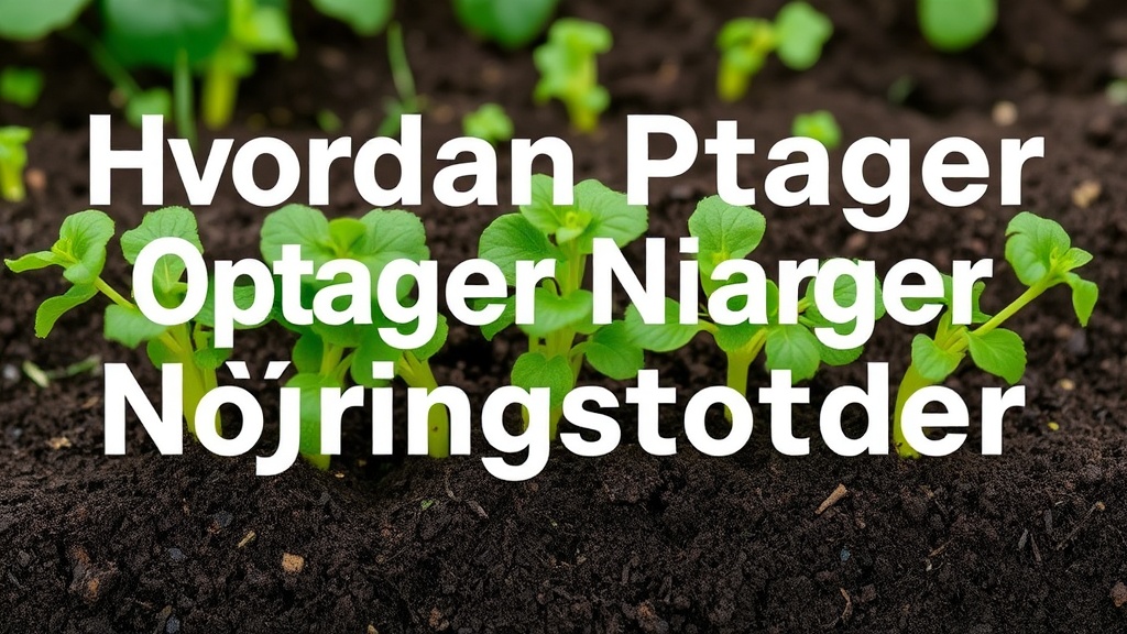 Hvordan Planter Optager Næringsstoffer: Fra Rødder til Blade - Illustration