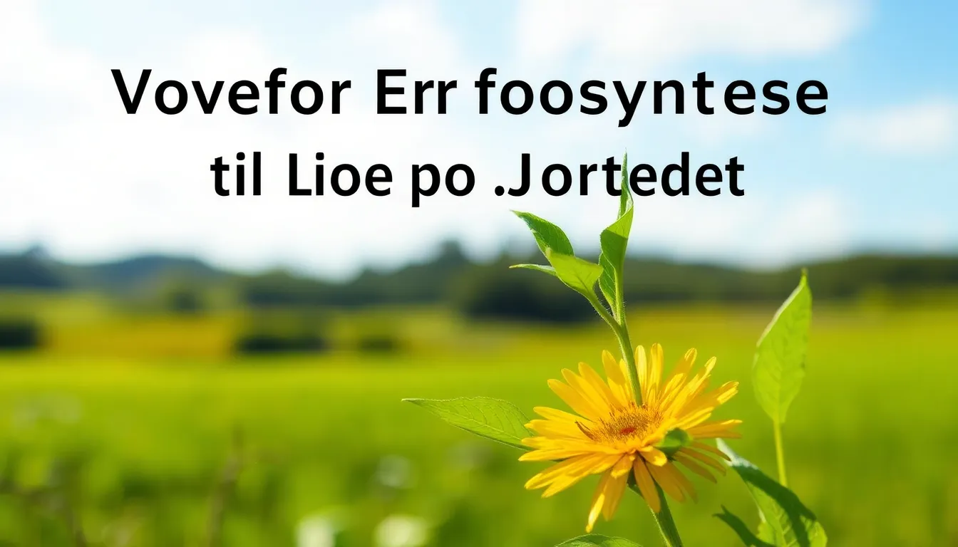 Hvorfor Fotosyntese Er Nøglen til Livet på Jorden - Illustration