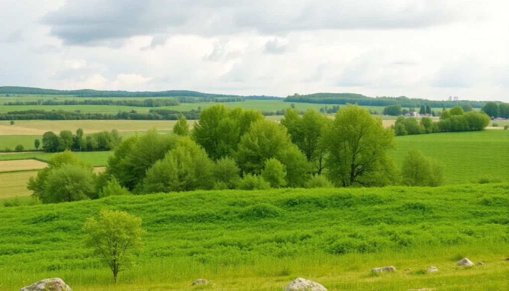CO2 Udslip Reducering: Teknologiske Fremskridt og Daglige Vaner der Gør en Forskel - Illustration