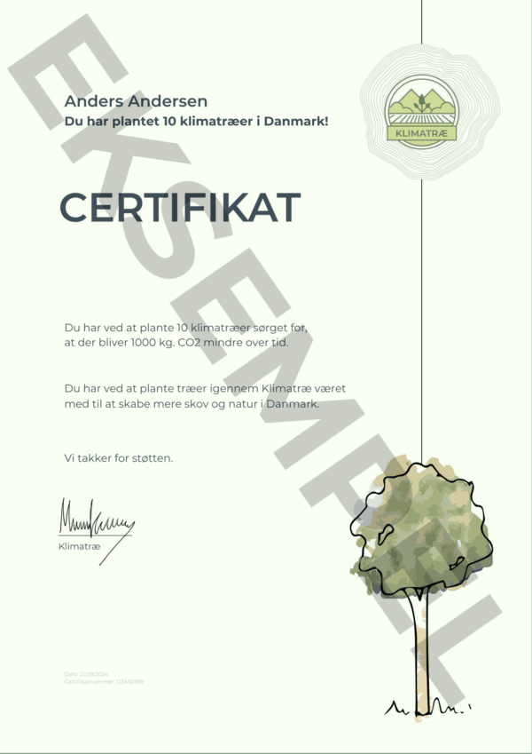 Klimatræ - abonnement - Image 2